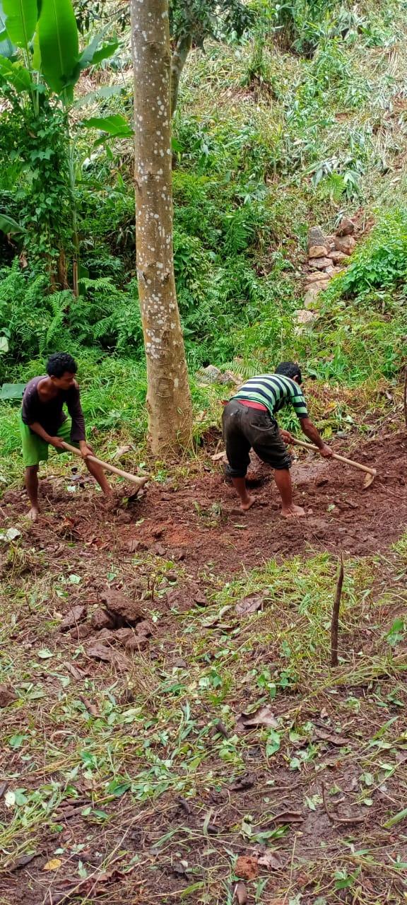 C:\Users\Lavinia Pde\Pictures\mawshang pics\IMG-20220418-WA0028.jpg